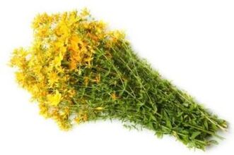草药